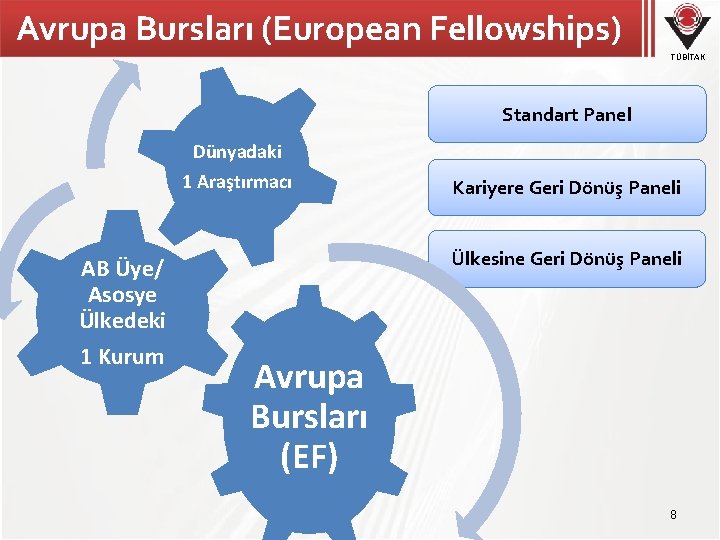 Avrupa Bursları (European Fellowships) TÜBİTAK Standart Panel Dünyadaki 1 Araştırmacı AB Üye/ Asosye Ülkedeki
