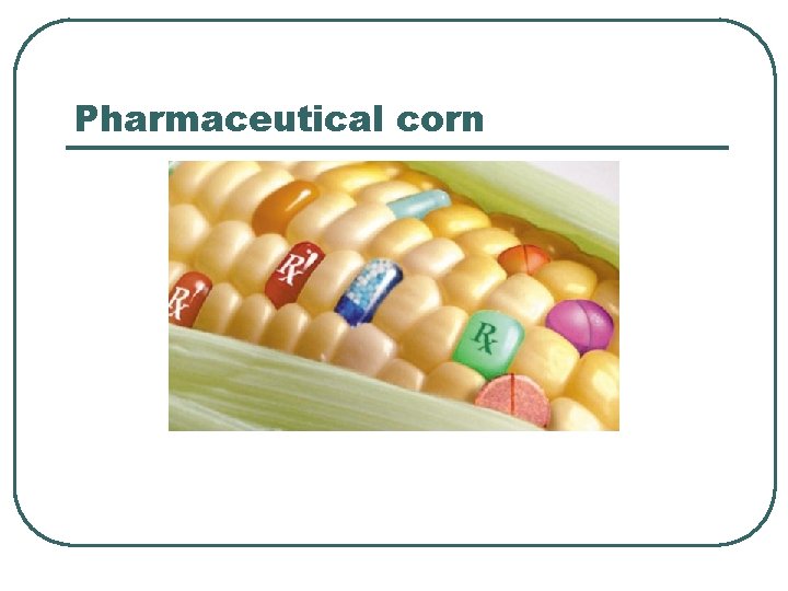Pharmaceutical corn 