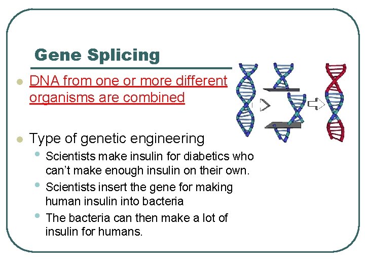 Gene Splicing l DNA from one or more different organisms are combined l Type