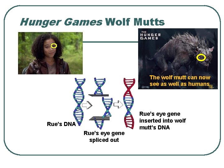 Hunger Games Wolf Mutts The wolf mutt can now see as well as humans