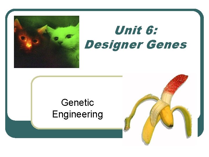 Unit 6: Designer Genes Genetic Engineering 