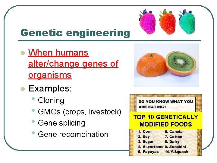 Genetic engineering l l When humans alter/change genes of organisms Examples: • Cloning •