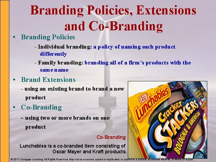 Branding Policies, Extensions and Co-Branding • Branding Policies - Individual branding: a policy of