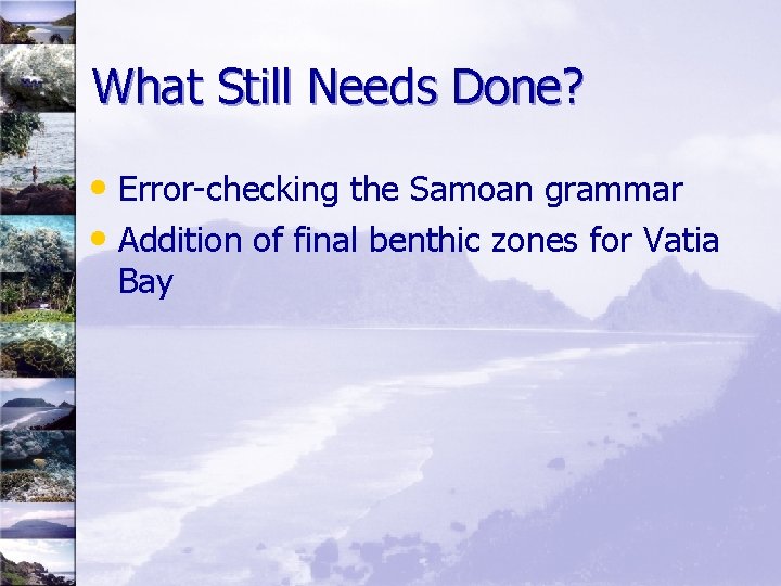 What Still Needs Done? • Error-checking the Samoan grammar • Addition of final benthic