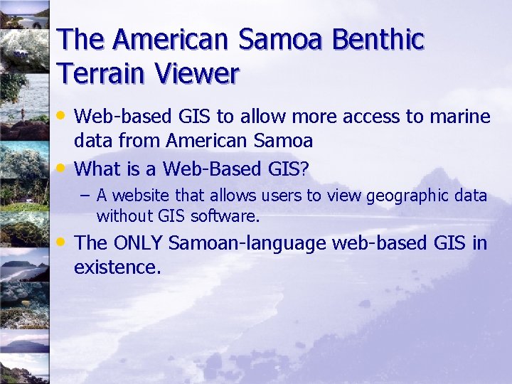 The American Samoa Benthic Terrain Viewer • Web-based GIS to allow more access to