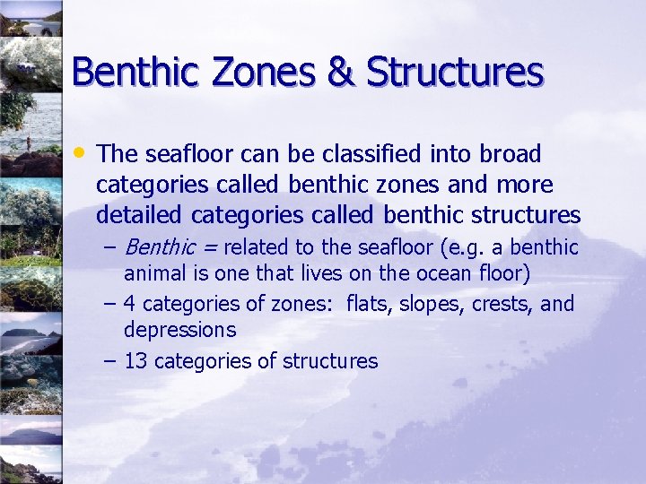 Benthic Zones & Structures • The seafloor can be classified into broad categories called