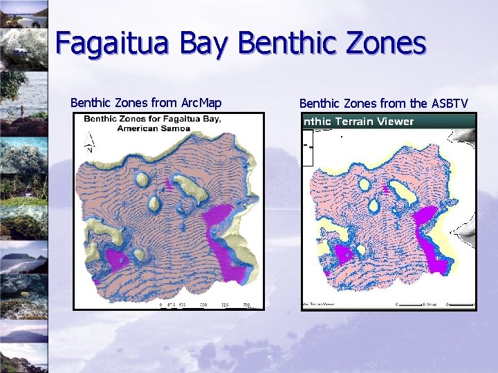 Fagaitua Bay Benthic Zones from Arc. Map Benthic Zones from the ASBTV 