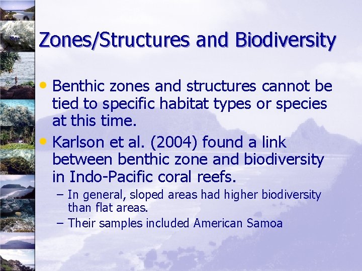 Zones/Structures and Biodiversity • Benthic zones and structures cannot be tied to specific habitat