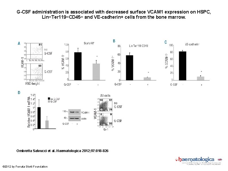 G-CSF administration is associated with decreased surface VCAM 1 expression on HSPC, Lin−Ter 119−CD