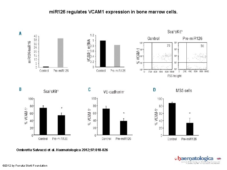 mi. R 126 regulates VCAM 1 expression in bone marrow cells. Ombretta Salvucci et