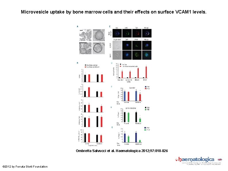 Microvesicle uptake by bone marrow cells and their effects on surface VCAM 1 levels.