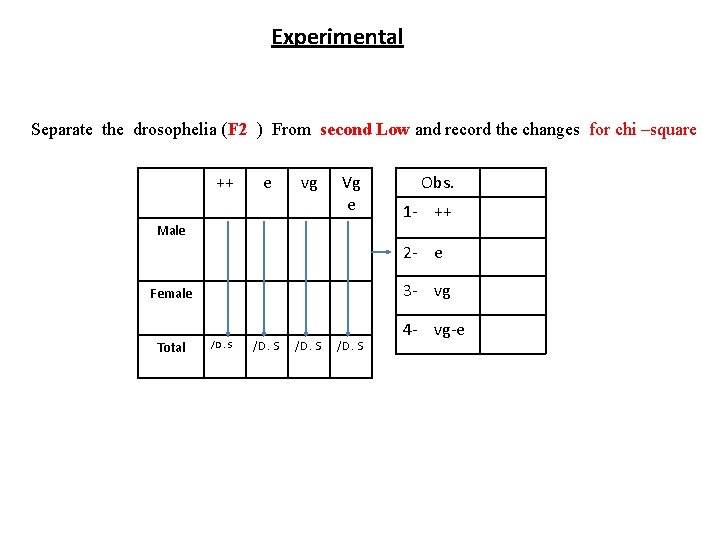 Experimental Separate the drosophelia (F 2 ) From second Low and record the changes