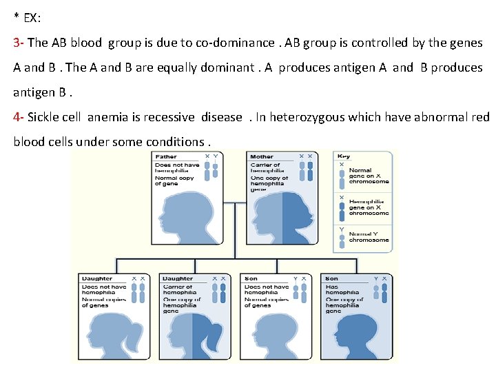 * EX: 3 - The AB blood group is due to co-dominance. AB group