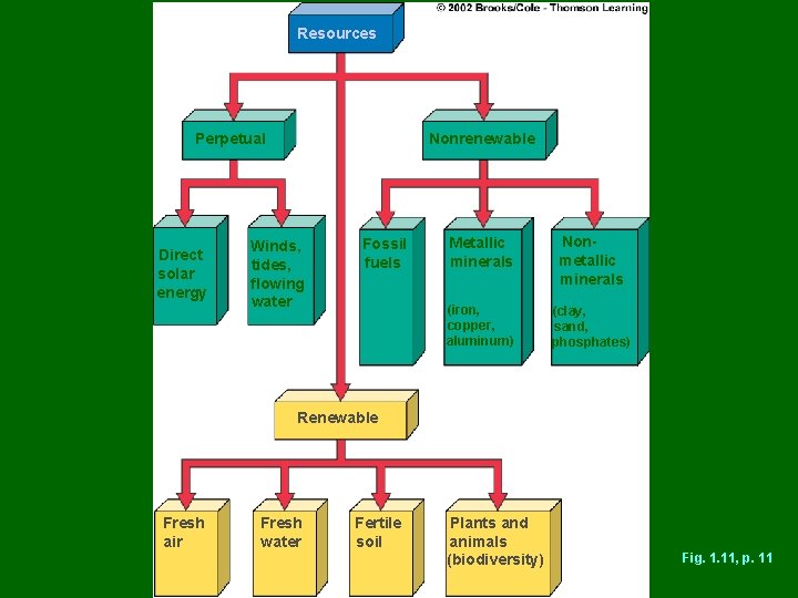 Resources Perpetual Direct solar energy Nonrenewable Winds, tides, flowing water Fossil fuels Metallic minerals