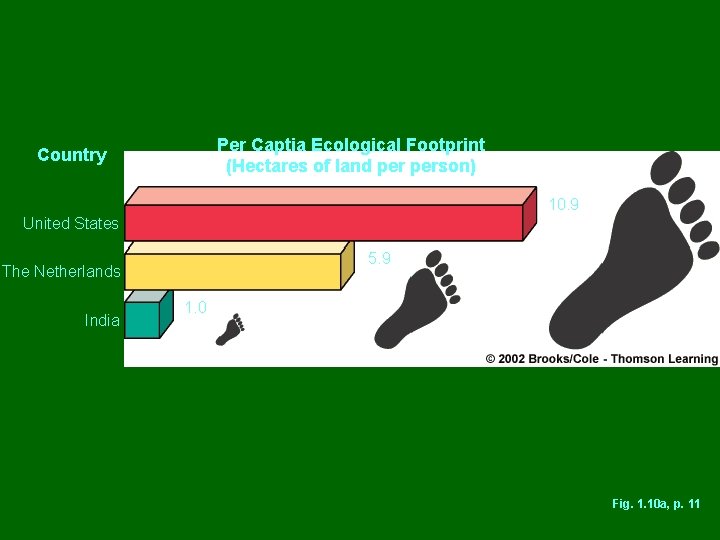 Per Captia Ecological Footprint (Hectares of land person) Country 10. 9 United States 5.