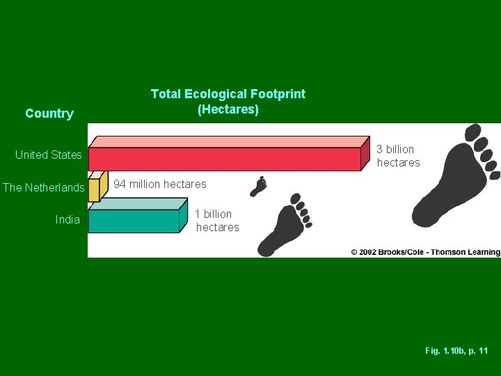 Country Total Ecological Footprint (Hectares) 3 billion hectares United States The Netherlands India 94