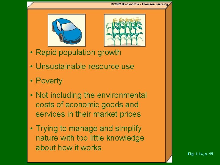  • Rapid population growth • Unsustainable resource use • Poverty • Not including