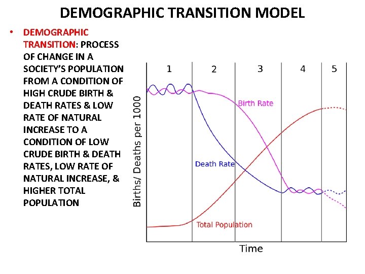 DEMOGRAPHIC TRANSITION MODEL • DEMOGRAPHIC TRANSITION: PROCESS OF CHANGE IN A SOCIETY’S POPULATION FROM