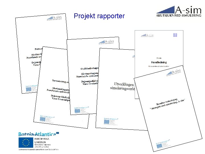 Projekt rapporter 