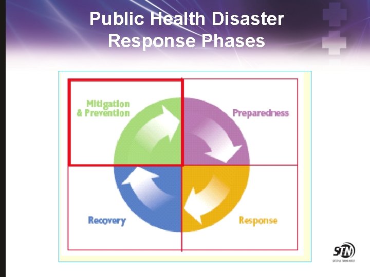 Public Health Disaster Response Phases 