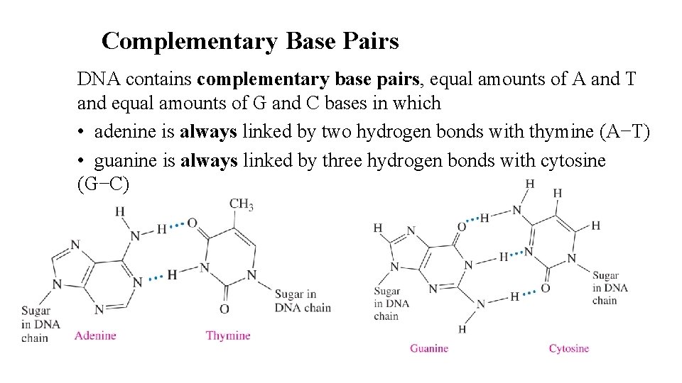 Complementary Base Pairs DNA contains complementary base pairs, equal amounts of A and T