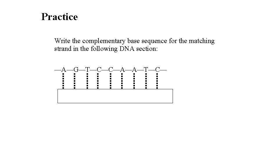 Practice Write the complementary base sequence for the matching strand in the following DNA