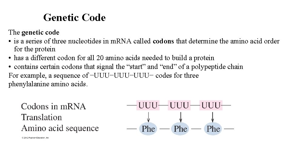 Genetic Code The genetic code • is a series of three nucleotides in m.