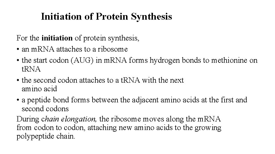 Initiation of Protein Synthesis For the initiation of protein synthesis, • an m. RNA