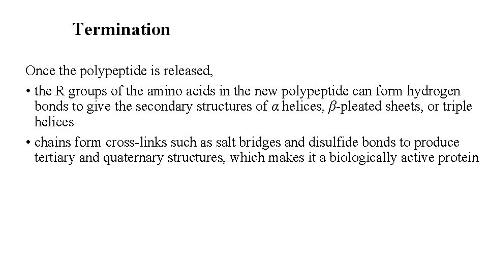 Termination Once the polypeptide is released, • the R groups of the amino acids