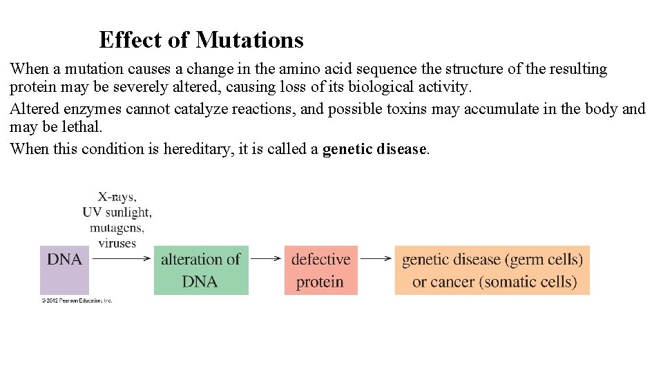 Effect of Mutations When a mutation causes a change in the amino acid sequence