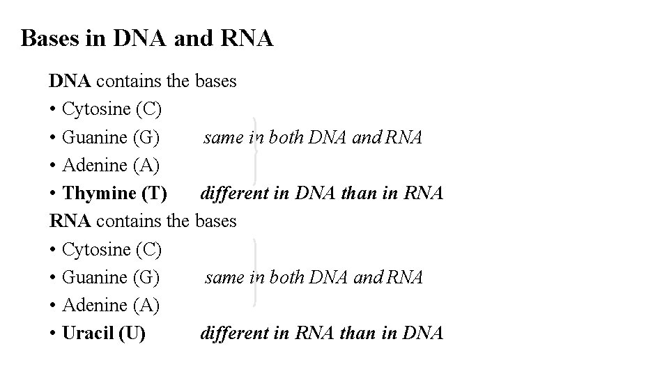 Bases in DNA and RNA DNA contains the bases • Cytosine (C) • Guanine