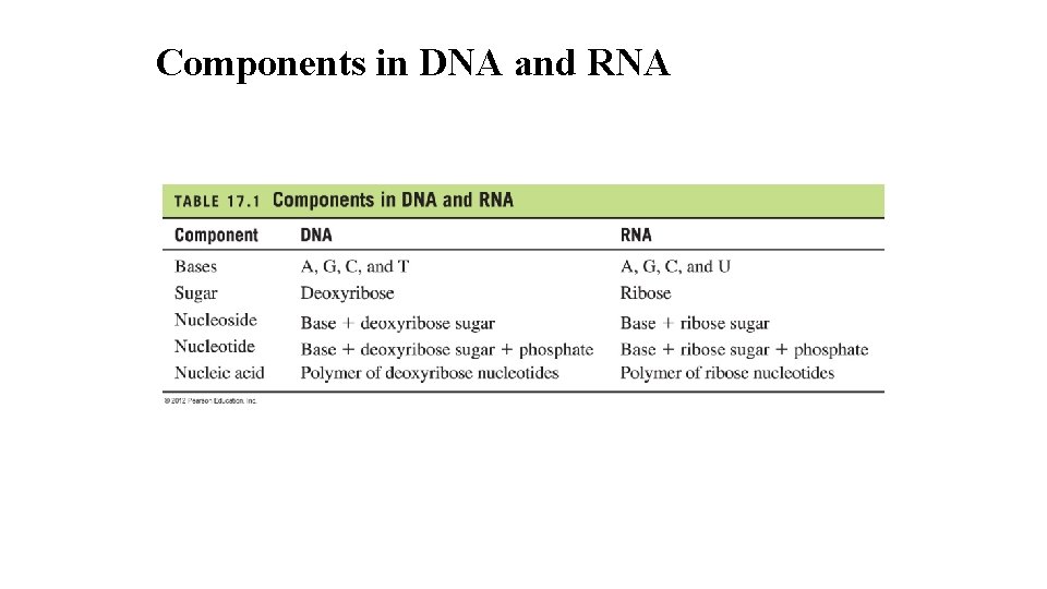 Components in DNA and RNA 9 