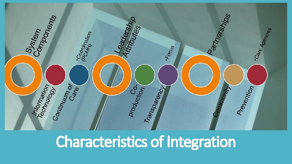 Characteristics of Integration 