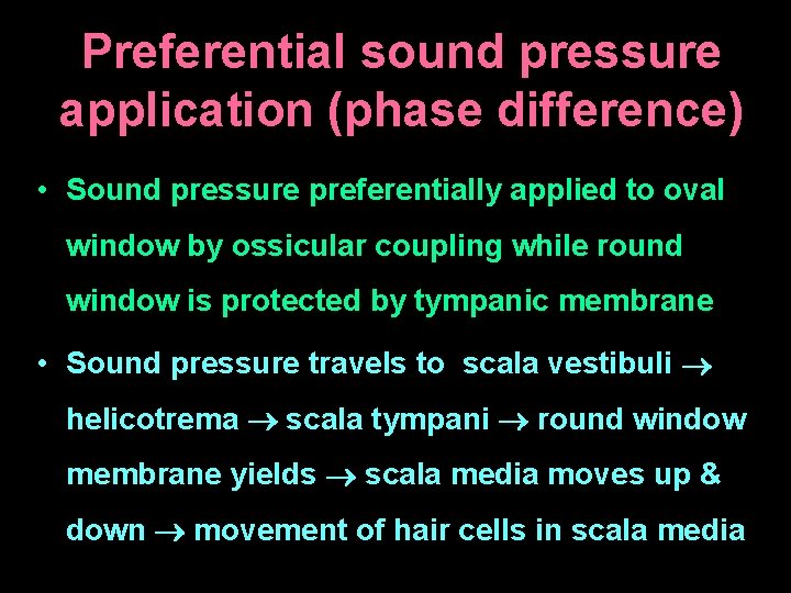 Preferential sound pressure application (phase difference) • Sound pressure preferentially applied to oval window