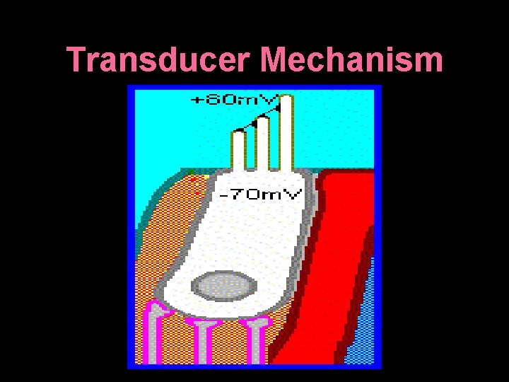 Transducer Mechanism 