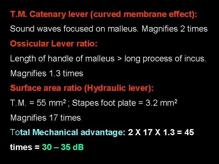T. M. Catenary lever (curved membrane effect): Sound waves focused on malleus. Magnifies 2