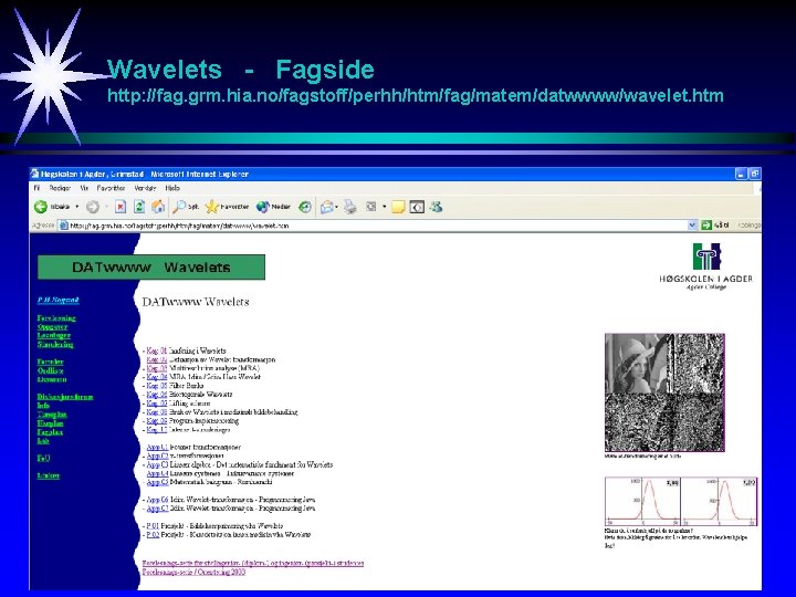 Wavelets - Fagside http: //fag. grm. hia. no/fagstoff/perhh/htm/fag/matem/datwwww/wavelet. htm 