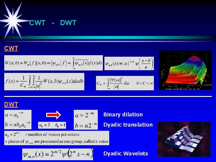 CWT - DWT CWT DWT Binary dilation Dyadic translation Dyadic Wavelets 