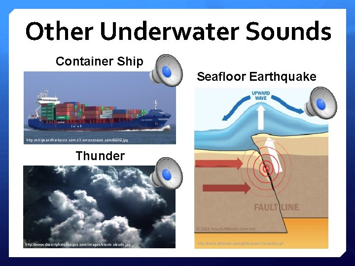 Other Underwater Sounds Container Ship Seafloor Earthquake http: //shipsandharbours. com. s 3. amazonaws. com/8939.