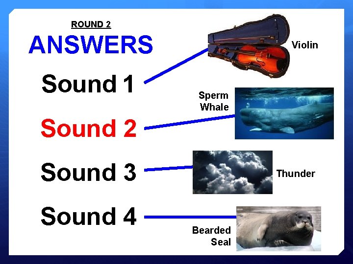 ROUND 2 ANSWERS Sound 1 Violin Sperm Whale Sound 2 Sound 3 Sound 4