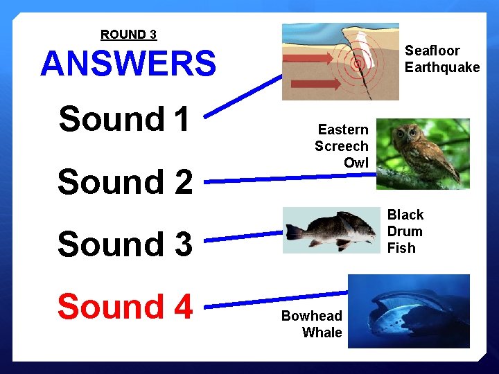 ROUND 3 Seafloor Earthquake ANSWERS Sound 1 Sound 2 Eastern Screech Owl Black Drum