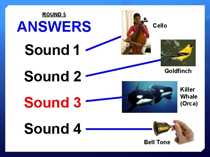 ROUND 5 ANSWERS Cello Sound 1 Sound 2 Goldfinch Killer Whale (Orca) Sound 3