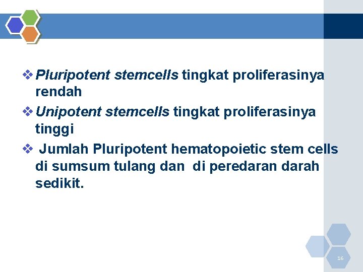 v Pluripotent stemcells tingkat proliferasinya rendah v Unipotent stemcells tingkat proliferasinya tinggi v Jumlah