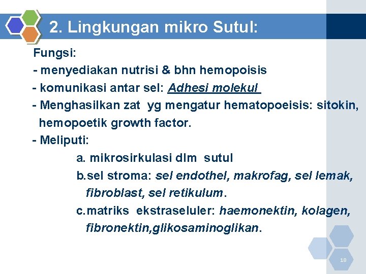 2. Lingkungan mikro Sutul: - Fungsi: - - menyediakan nutrisi & bhn hemopoisis -