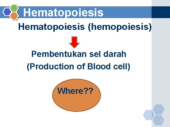 Hematopoiesis (hemopoiesis) Pembentukan sel darah (Production of Blood cell) Where? ? 2 