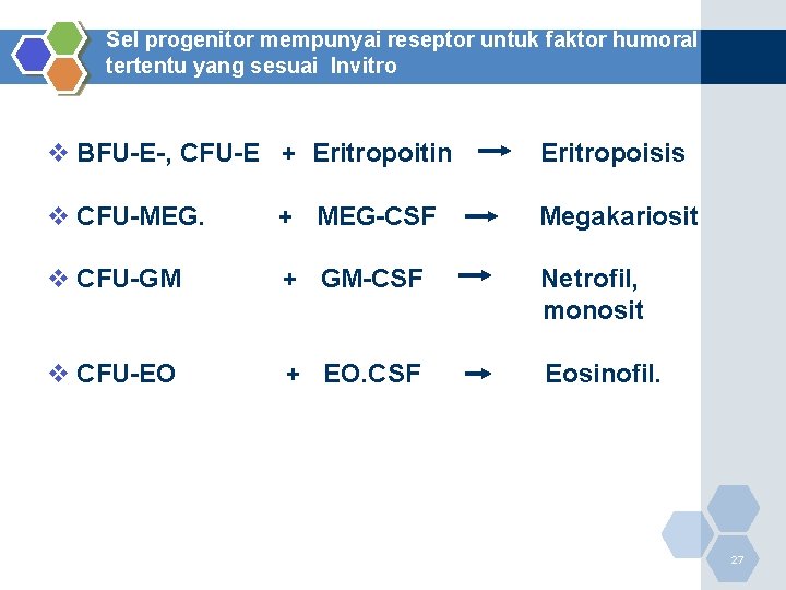 Sel progenitor mempunyai reseptor untuk faktor humoral tertentu yang sesuai Invitro v BFU-E-, CFU-E
