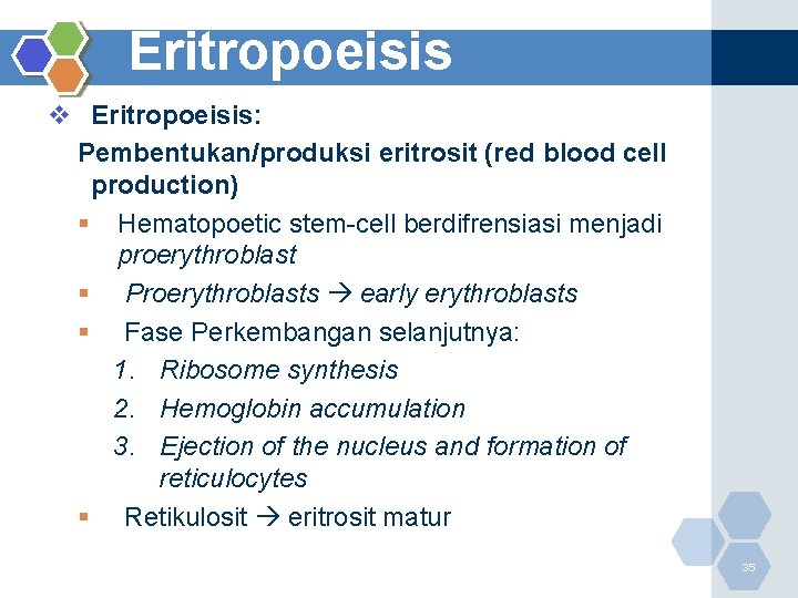 Eritropoeisis v Eritropoeisis: Pembentukan/produksi eritrosit (red blood cell production) § Hematopoetic stem-cell berdifrensiasi menjadi