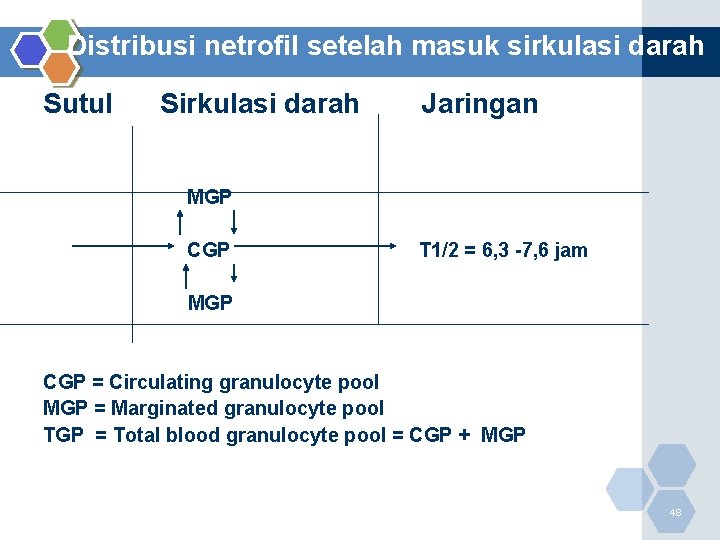 Distribusi netrofil setelah masuk sirkulasi darah Sutul Sirkulasi darah Jaringan MGP CGP T 1/2