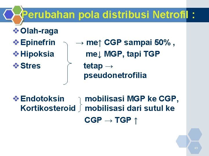 Perubahan pola distribusi Netrofil : v Olah-raga v Epinefrin v Hipoksia v Stres →