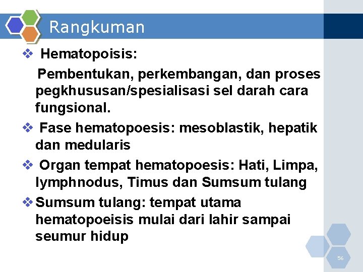 Rangkuman v Hematopoisis: Pembentukan, perkembangan, dan proses pegkhususan/spesialisasi sel darah cara fungsional. v Fase